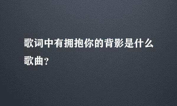 歌词中有拥抱你的背影是什么歌曲？