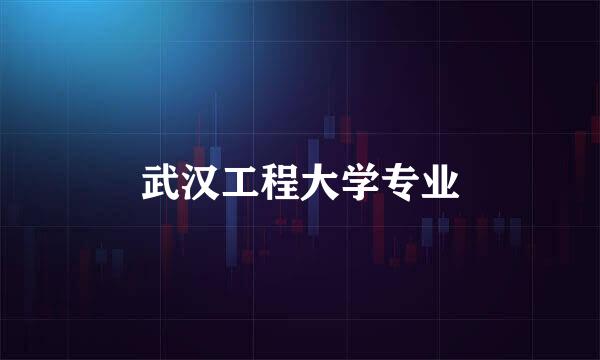 武汉工程大学专业