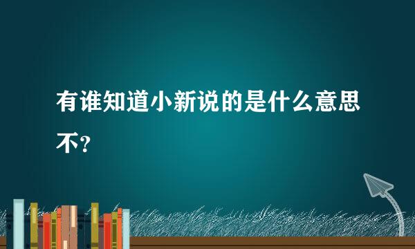 有谁知道小新说的是什么意思不？