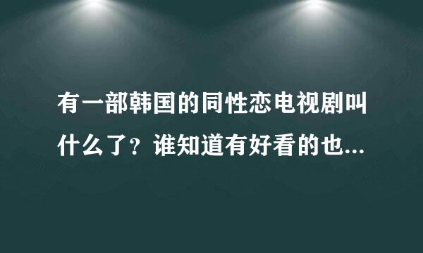 有一部韩国的同性恋电视剧叫什么了？谁知道有好看的也可以推荐给我~