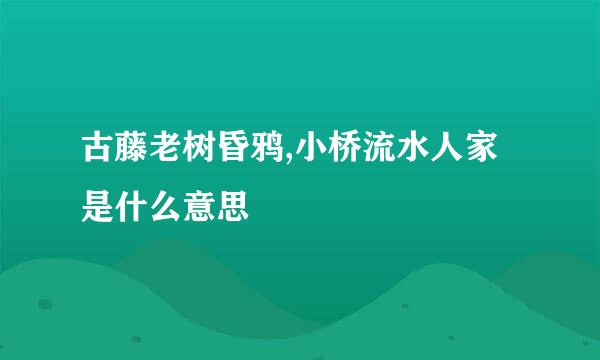 古藤老树昏鸦,小桥流水人家是什么意思