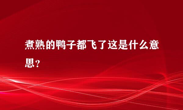 煮熟的鸭子都飞了这是什么意思？