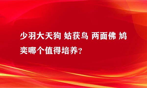 少羽大天狗 姑获鸟 两面佛 鸠 奕哪个值得培养？