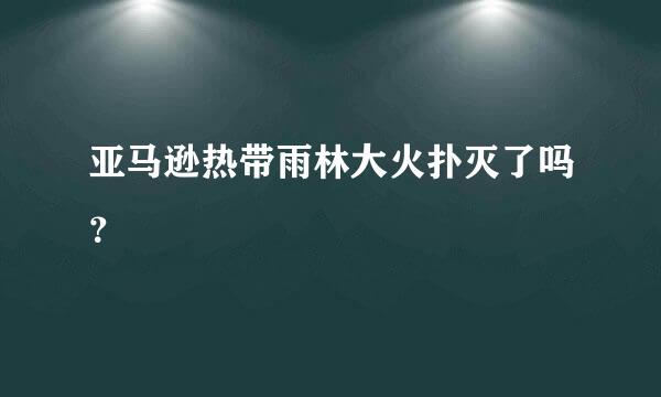 亚马逊热带雨林大火扑灭了吗？