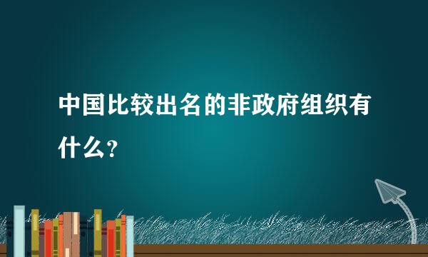 中国比较出名的非政府组织有什么？