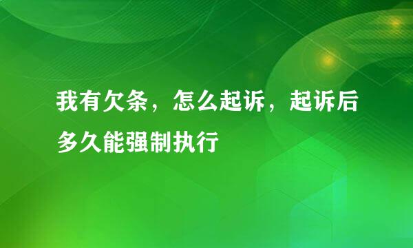 我有欠条，怎么起诉，起诉后多久能强制执行