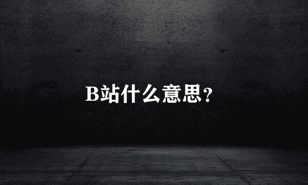 B站什么意思？