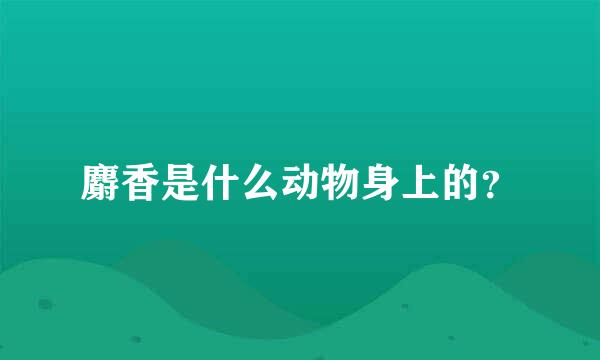 麝香是什么动物身上的？