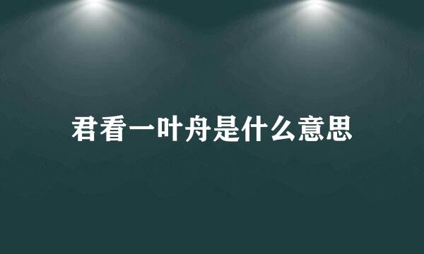 君看一叶舟是什么意思