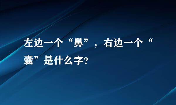 左边一个“鼻”，右边一个“囊”是什么字？