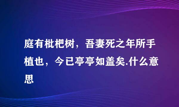 庭有枇杷树，吾妻死之年所手植也，今已亭亭如盖矣.什么意思