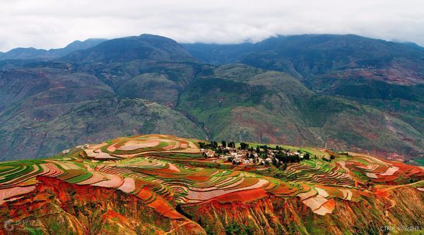 去云南旅游必去的地方有哪些