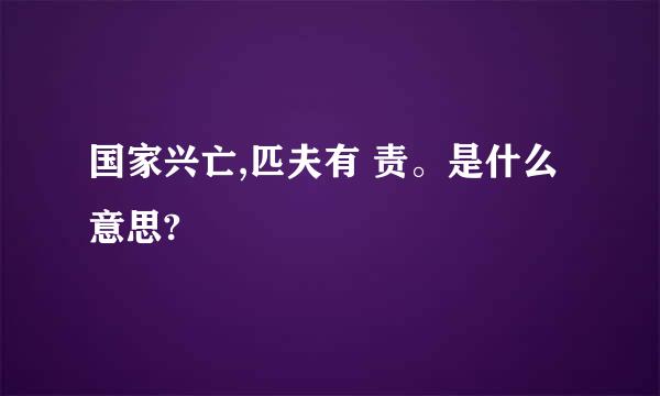 国家兴亡,匹夫有 责。是什么意思?