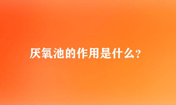 厌氧池的作用是什么？