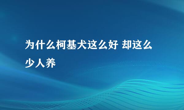 为什么柯基犬这么好 却这么少人养