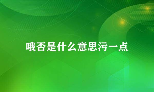 哦否是什么意思污一点