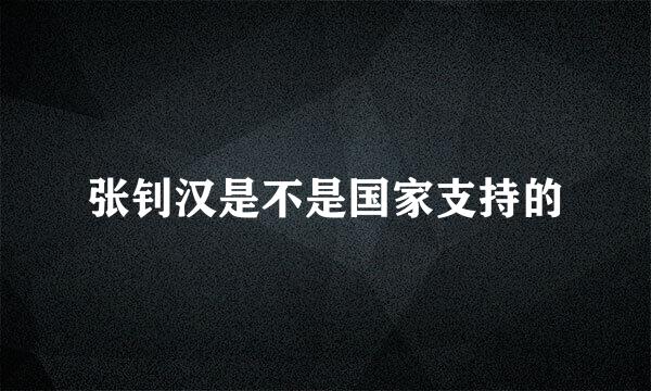 张钊汉是不是国家支持的