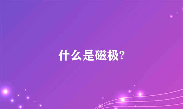 什么是磁极?