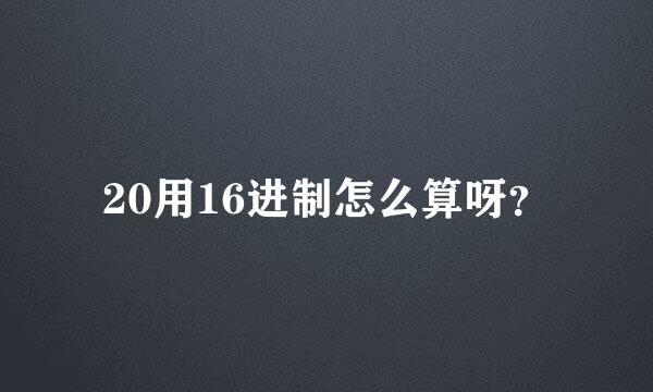 20用16进制怎么算呀？