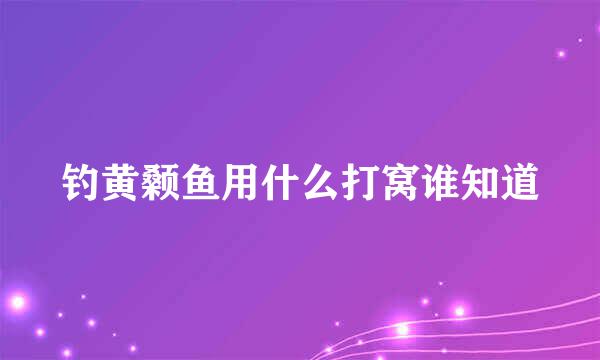 钓黄颡鱼用什么打窝谁知道