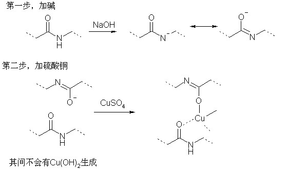 双缩脲法测定蛋白质含量需注意哪些问题