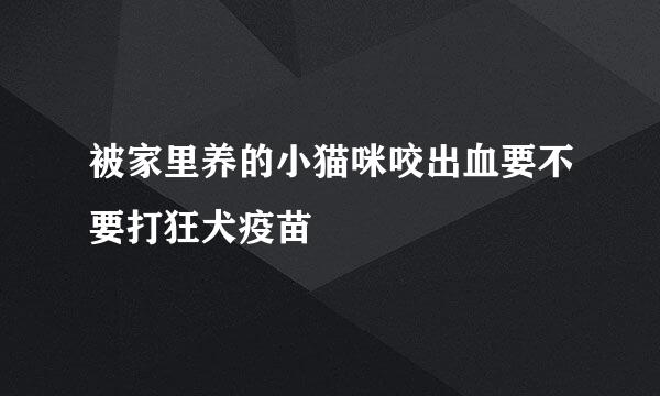 被家里养的小猫咪咬出血要不要打狂犬疫苗