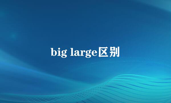 big large区别