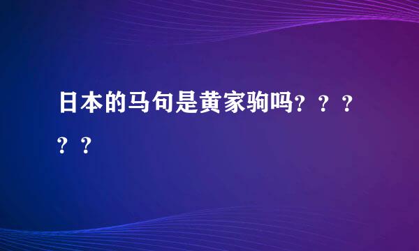 日本的马句是黄家驹吗？？？？？