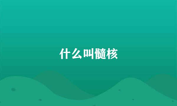 什么叫髓核