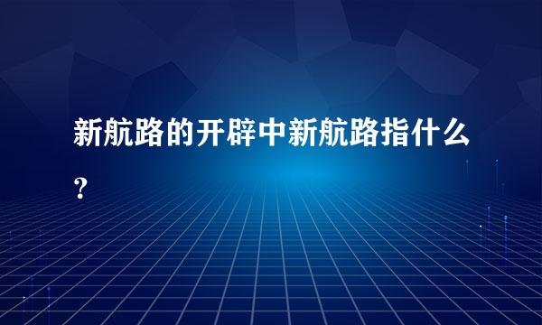 新航路的开辟中新航路指什么？