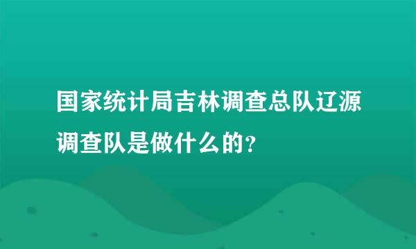 国家统计局吉林调查总队辽源调查队是做什么的？