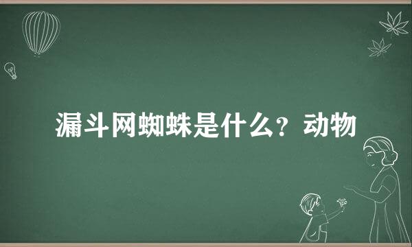 漏斗网蜘蛛是什么？动物