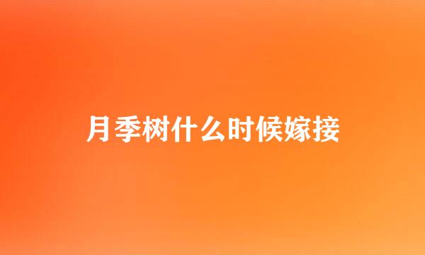 月季树什么时候嫁接