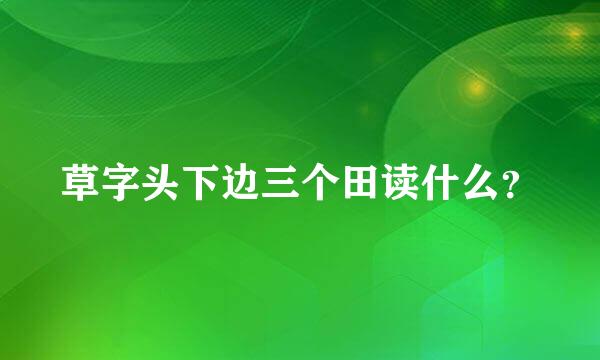 草字头下边三个田读什么？