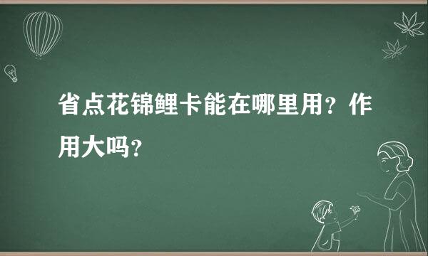 省点花锦鲤卡能在哪里用？作用大吗？