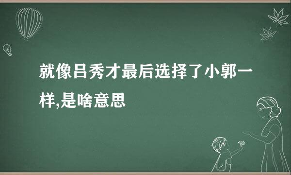 就像吕秀才最后选择了小郭一样,是啥意思