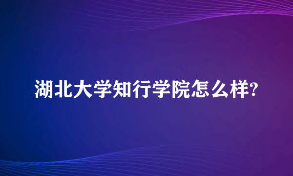 湖北大学知行学院怎么样?