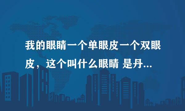 我的眼睛一个单眼皮一个双眼皮，这个叫什么眼睛 是丹凤眼吗？