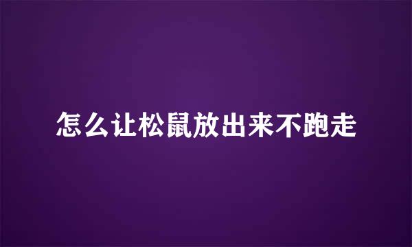 怎么让松鼠放出来不跑走