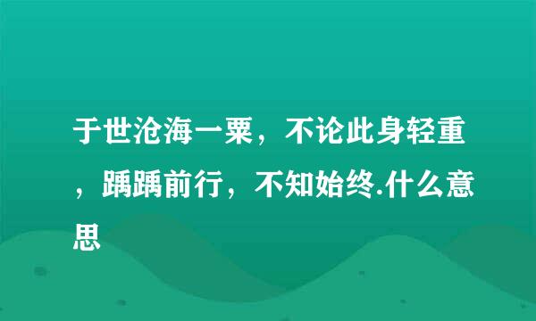 于世沧海一粟，不论此身轻重，踽踽前行，不知始终.什么意思