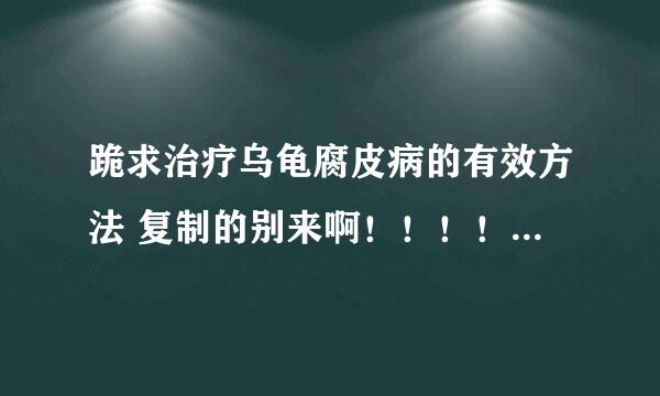 跪求治疗乌龟腐皮病的有效方法 复制的别来啊！！！！！！！急急急急急急急