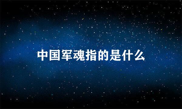 中国军魂指的是什么