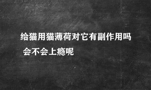 给猫用猫薄荷对它有副作用吗 会不会上瘾呢