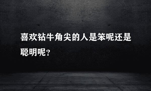 喜欢钻牛角尖的人是笨呢还是聪明呢？