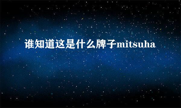 谁知道这是什么牌子mitsuha