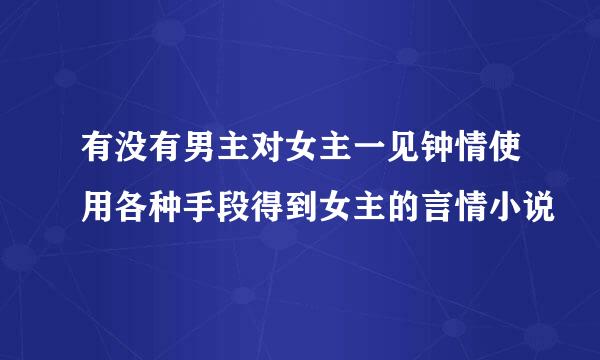 有没有男主对女主一见钟情使用各种手段得到女主的言情小说