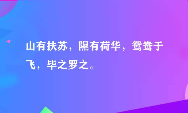 山有扶苏，隰有荷华，鸳鸯于飞，毕之罗之。