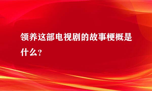 领养这部电视剧的故事梗概是什么？