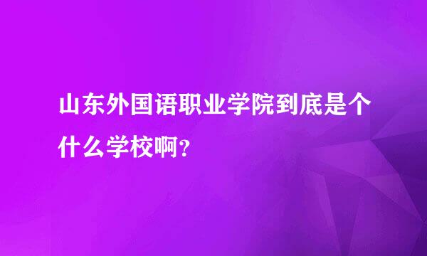 山东外国语职业学院到底是个什么学校啊？