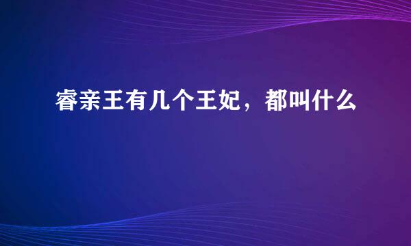 睿亲王有几个王妃，都叫什么